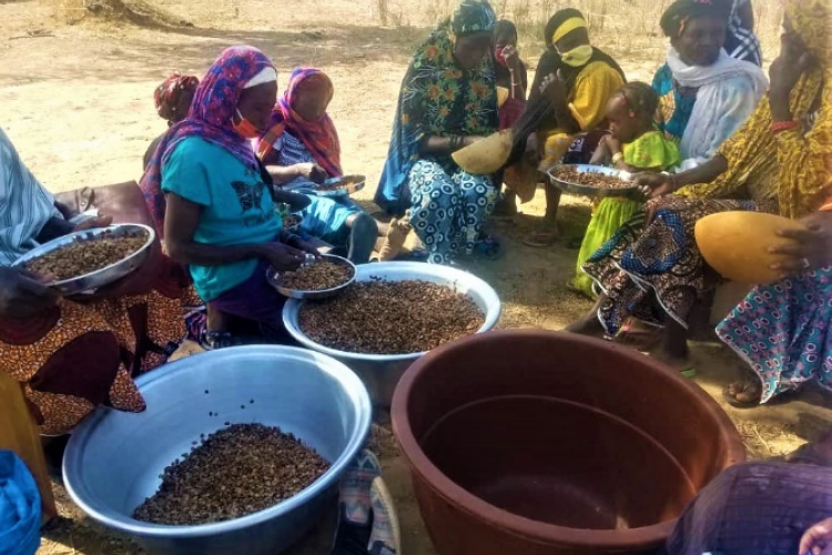 Production de soumbala par les familles des déplacés