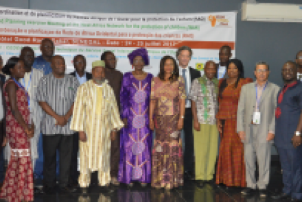 The West Africa Child Protection Network and its membership