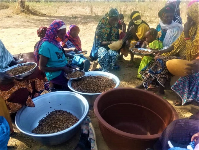 Production de soumbala par les familles des déplacés