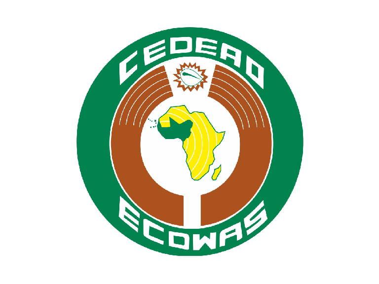 ECOWAS Care Procedures and Standards for the Protection and Reintegration of Vulnerable Children on the Move and Young Migrants