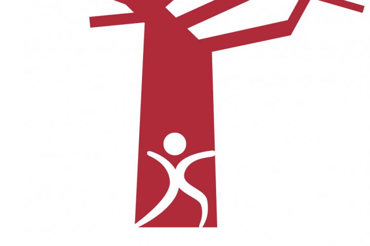Logo SSI-AO