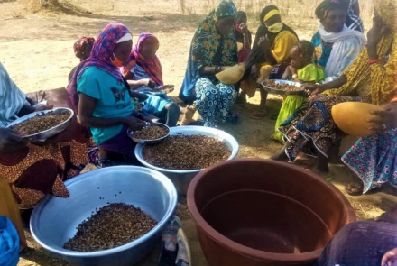 Production de soumbala par les familles des déplacés